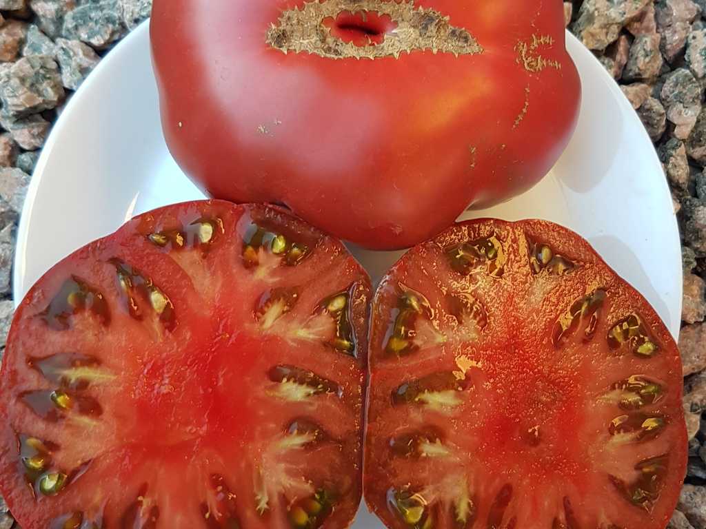 Chornyj Granat, Svart Granatäpple